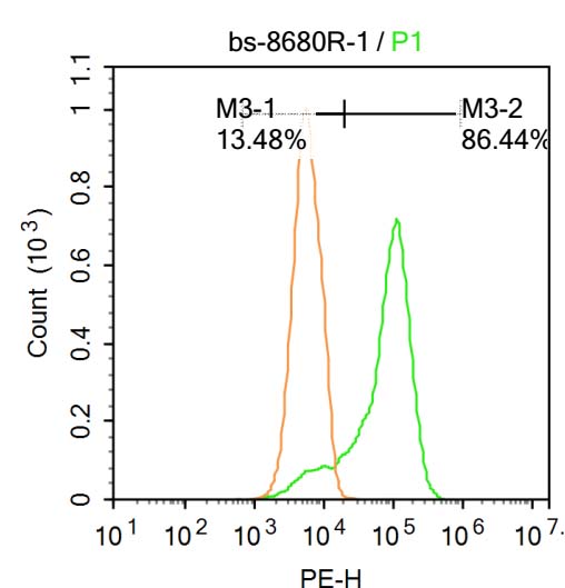 内质网核信号转导蛋白a1抗体-bs-8680R