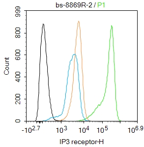 IP3 receptor Rabbit pAb (一抗) - Flow-Cyt,ICC/IF | Bioss