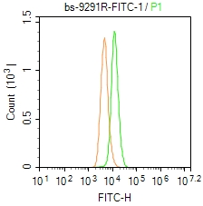 E3泛素连接酶MUL1抗体-bs-9291R