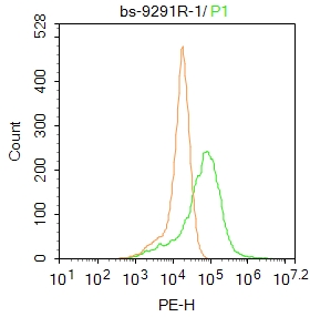 E3泛素连接酶MUL1抗体-bs-9291R