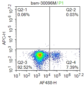 human CD19 Mouse mAb (一抗) | Bioss