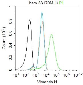 波形蛋白单克隆抗体-bsm-33170M