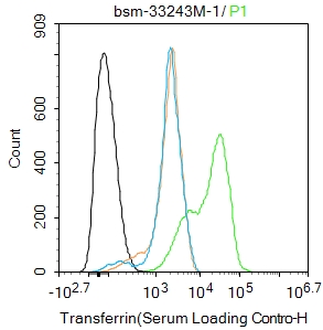 转铁蛋白（内参）单克隆抗体-bsm-33243M