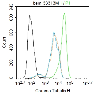 微管蛋白γ单克隆抗体-bsm-33313M