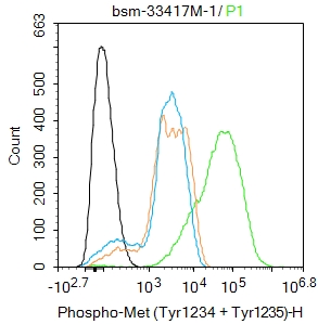 肿瘤抑制基因p63单克隆抗体-bsm-33417M