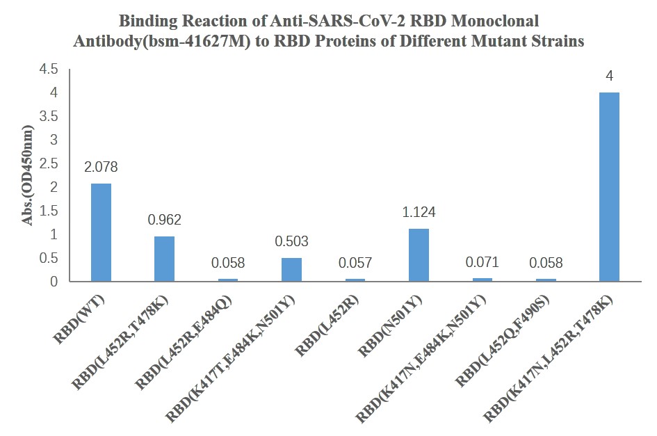 SARS-CoV-2 (2019-nCoV) Spike Neutralizing