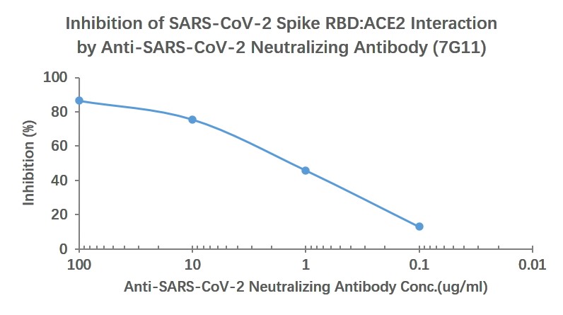 SARS-CoV-2 (2019-nCoV) Spike Neutralizing