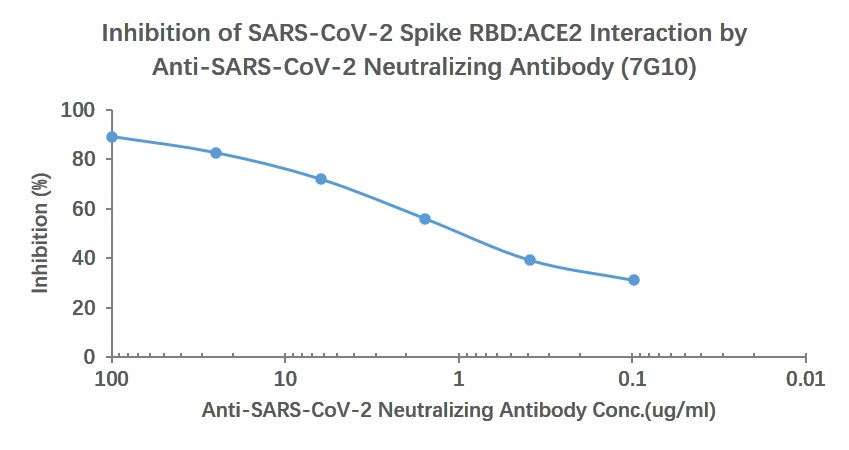 SARS-CoV-2 (2019-nCoV) Spike Neutralizing