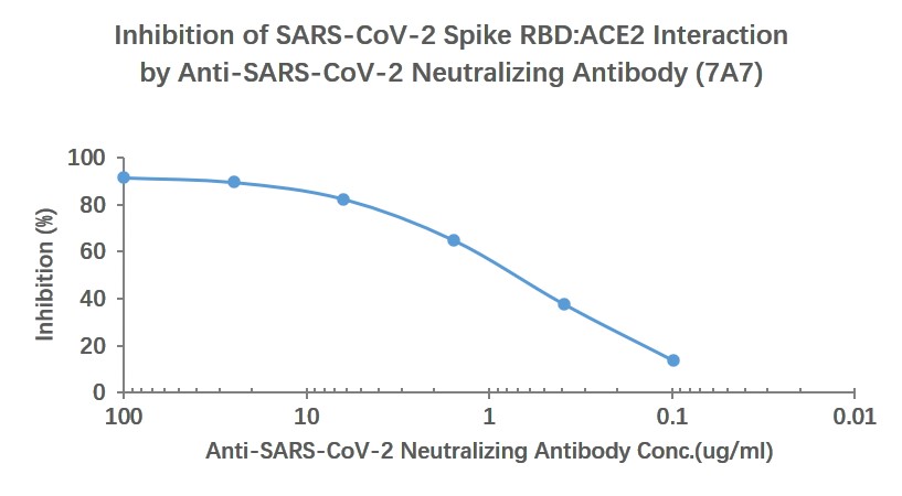 SARS-CoV-2 (2019-nCoV) Spike Neutralizing