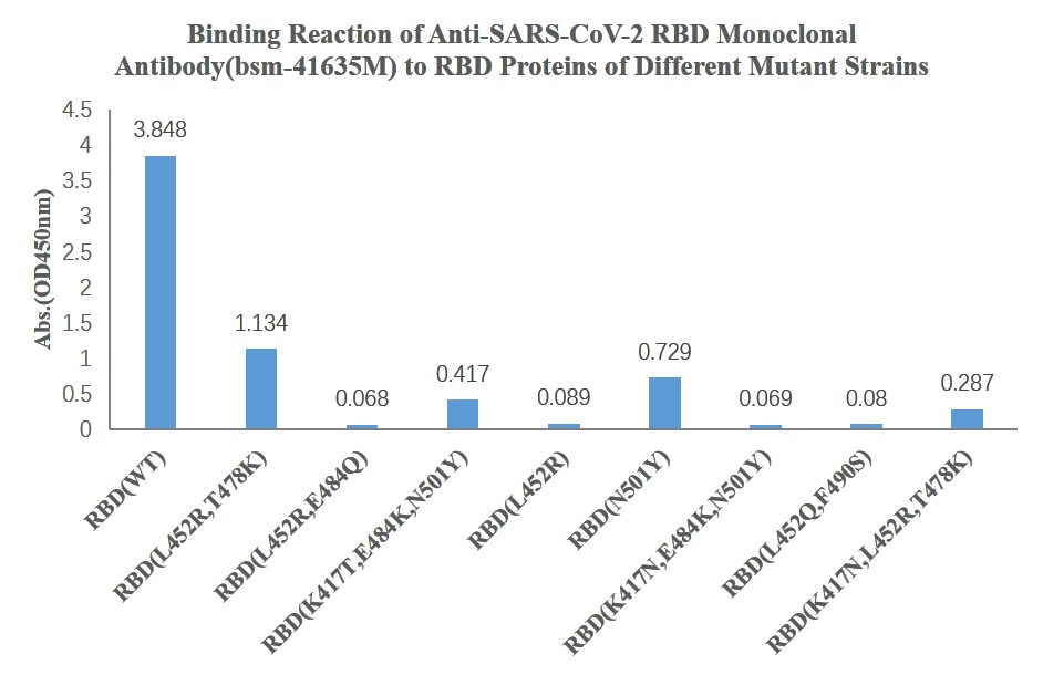 SARS-CoV-2 (2019-nCoV) Spike Neutralizing