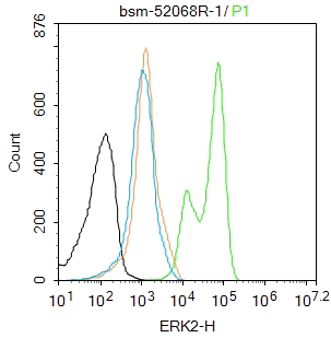 丝裂原活化蛋白激酶2重组兔单抗