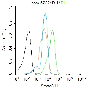 细胞信号转导分子SMAD3重组兔单抗