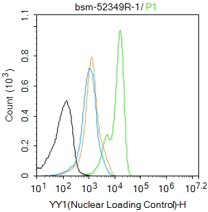 核转录调节因子YY1 （核内参）重组兔单抗-bsm-52349R