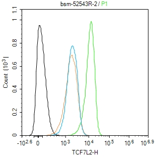 转录因子7类似物2重组兔单抗