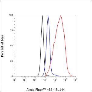 组蛋白H3重组兔单抗-bsm-60350R